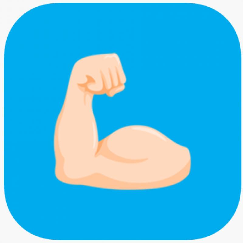 Logo Bodyguard