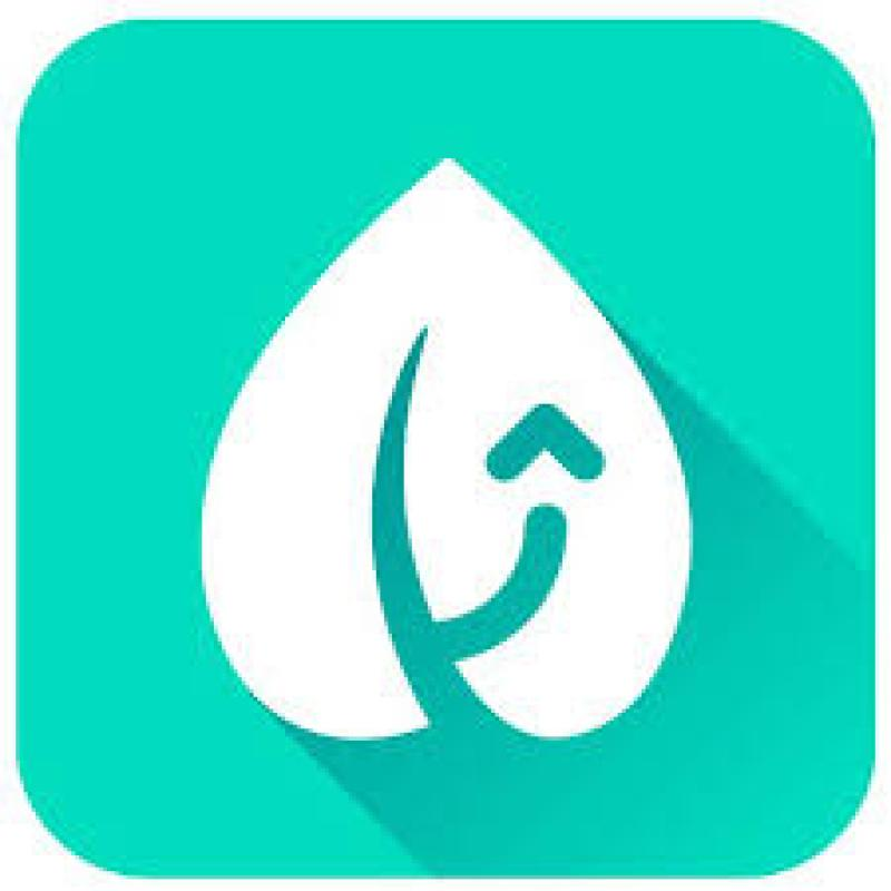 Logo The Treep