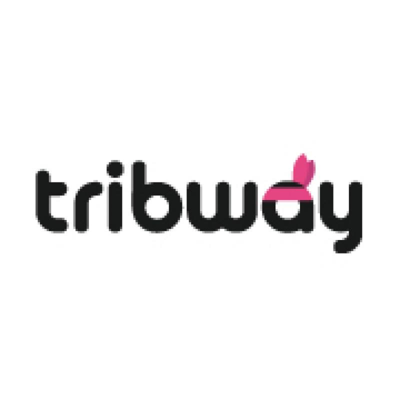 Logo Tribway
