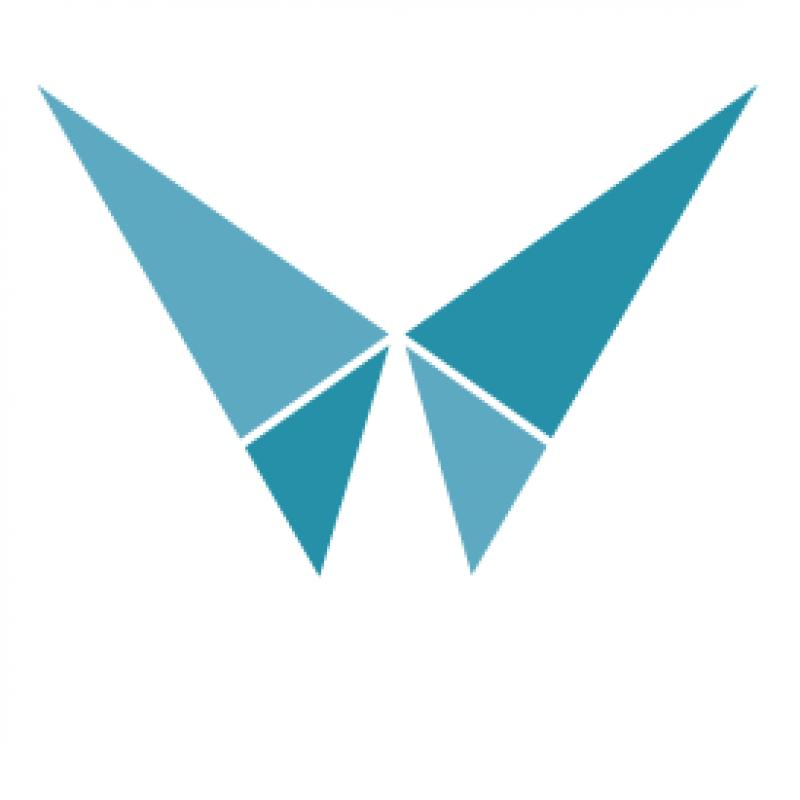 Logo Moneytis